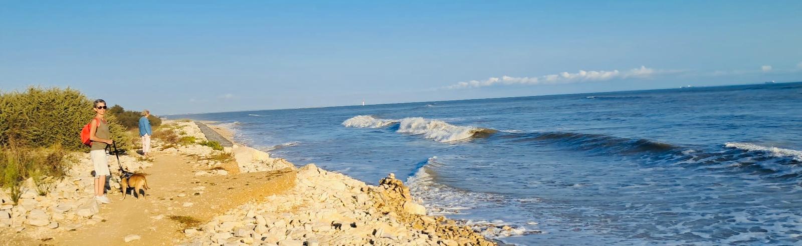 Thrive in 2025:  Your Roadmap to Optimum Health