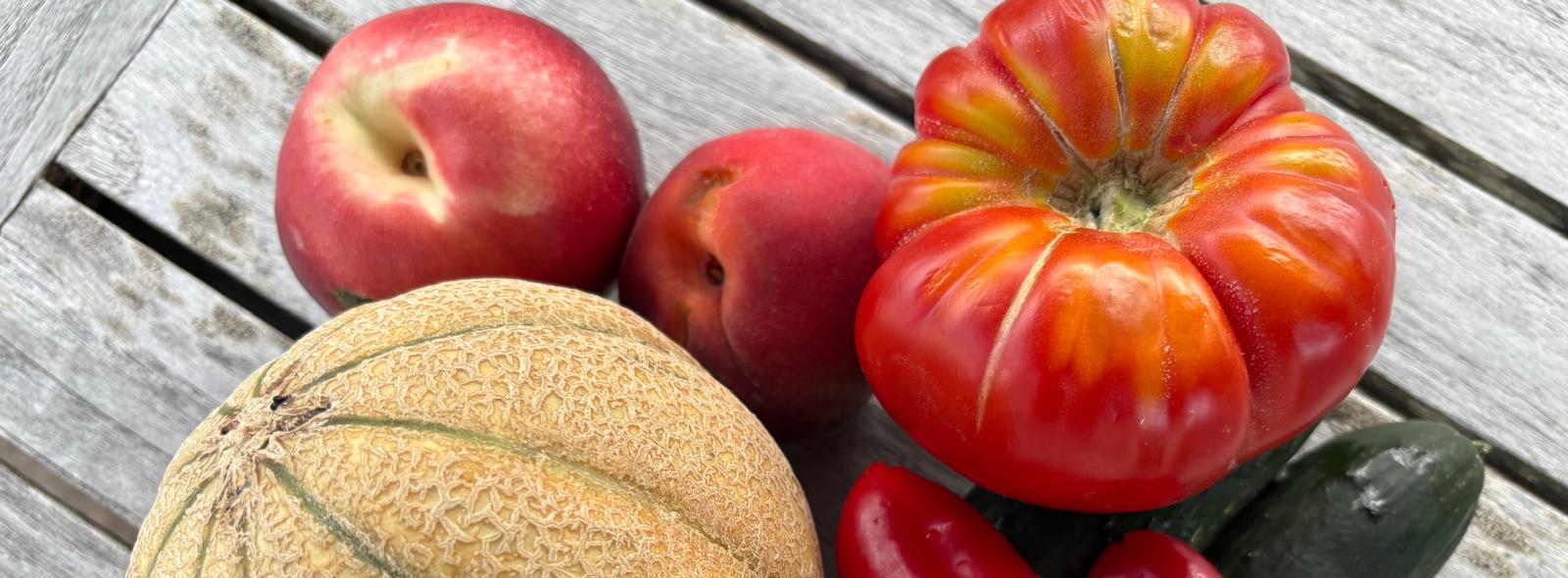 The Role of Nutrition in Kinesiology